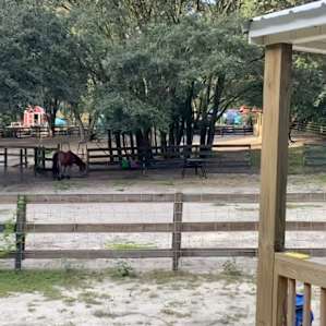 Our view from the cabin!