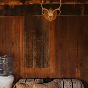 The cozy couch and our well water. I might recommend bringing a blanket!