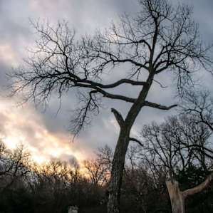 Sunrise from campsite (in November)