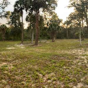One more campsite photo