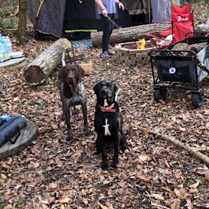 Holland Creek Camp