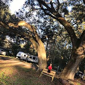Beautiful, giant oaks in the center of the campground!