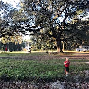 View of campground from far south side.