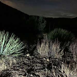 Rugged Old West Mountain Camping