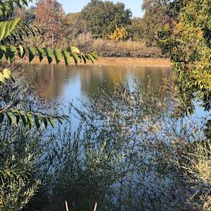 Riffles RV Park on the River