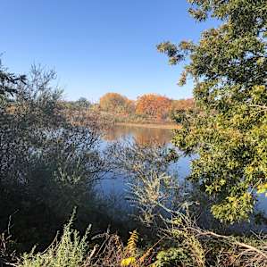 Riffles RV Park on the River