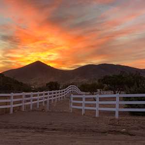 Working Horse Ranch