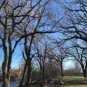 Seclusive Nature Site
