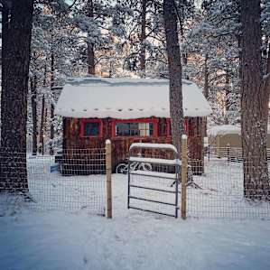 Charming Rye Tiny Cabin