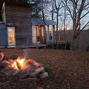 On the Beech Treehouse