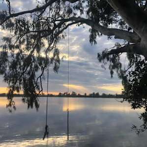 Beautiful mornings