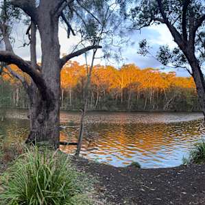 Waterfront Campsites - 4WD Access