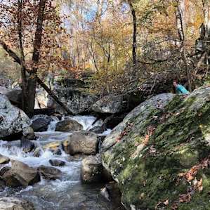 Nearby hiking spot!