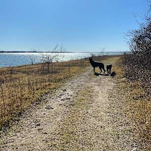 Lakefront Paradise RV site