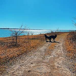 Lakefront Paradise RV site