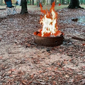 Primitive Campsite