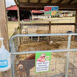 Denver Downs Farm Campsites