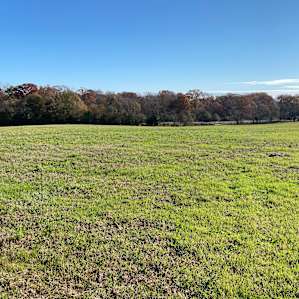 Denver Downs Farm Campsites