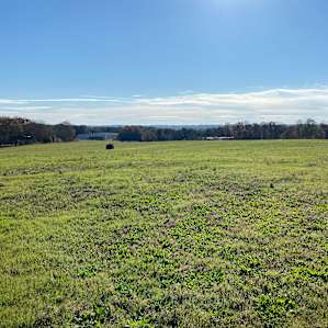 Denver Downs Farm Campsites