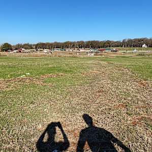 Denver Downs Farm Campsites