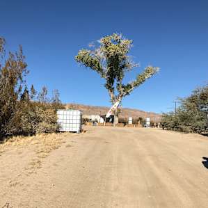 Skoolie and RV Compound