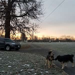 Farm and Forest near city (RV)