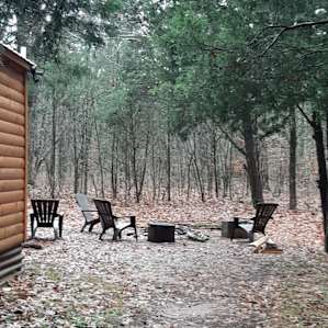 The Cabin