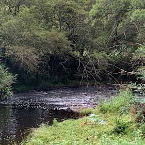 Riverrock, Bucketts Mountains