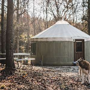 The outside of the yurt had a picnic table and a fire ring