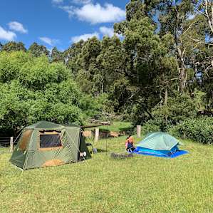 #1 Stream Campsite - Site 1