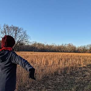 enjoying a walk around the field across the bridge