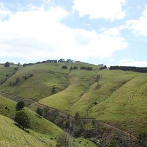 Hideaway in the Strzelecki hills