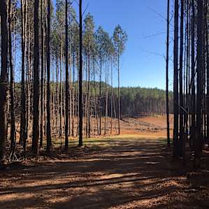 Lazy Acres Lake