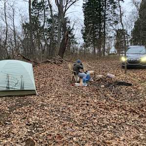 "Our Neck of the Woods"
