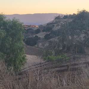 Surrounding area.