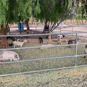 Saddle Up Ranch Site 1