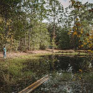Small pond located a short walk from the RV spot
