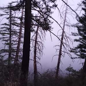 Fog rolled in after sunset. Cleared later for great star views.