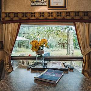 View of the campsite from your RV window
