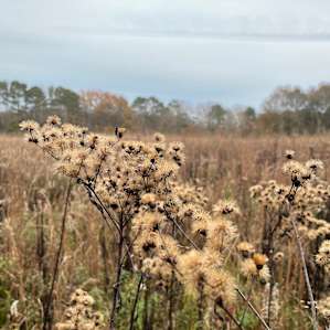 Sprawling fields and views — not to be missed!