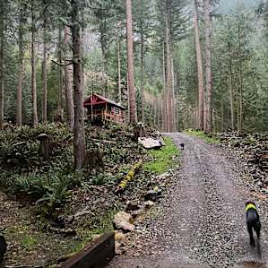 Hill up to cabin