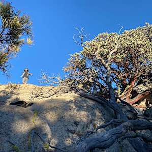 Getting lost in the boulder maze