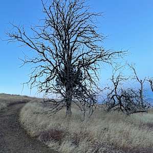 Nature trail by the campsite!