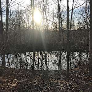 Sunset at the pond.