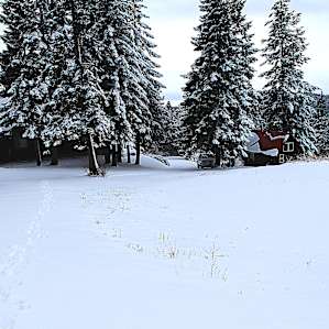 View from near the barn toward the driveway