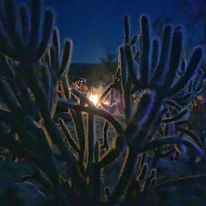 Anza Borrego - Outside RV or Tent