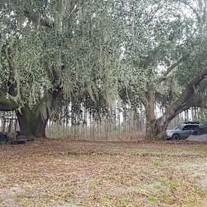 Between two big beautiful oaks
