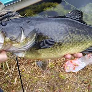 Good Fishing!