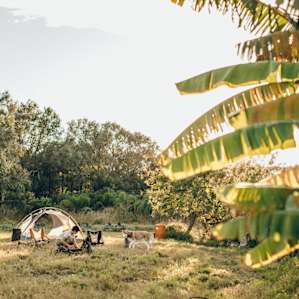 The campsite is secluded and right next to the pond