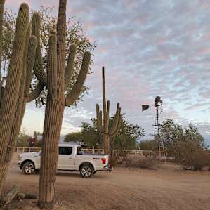 Family Friendly Desert RV site